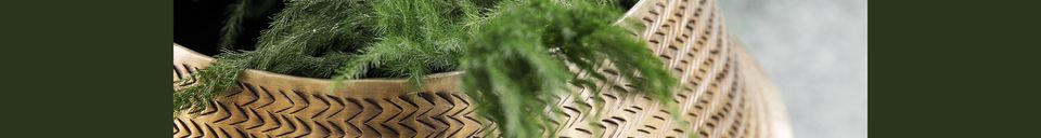 Benadrukte materialen Aluminium plantenbak met goudkoperen afwerking Rattan