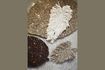 Miniatuur Beige zee rush deurmat Tallo 3