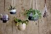 Miniatuur Bloemenhanger Alex 1