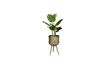 Miniatuur Botanische Plantenstandaard grootte M 11