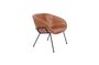 Miniatuur Bruine Festoon Lounge Chair Productfoto