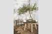Miniatuur Bruine salontafel van gerecycleerd hout Perli 2