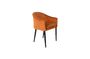 Miniatuur Catelyn Oranje Fauteuil Productfoto