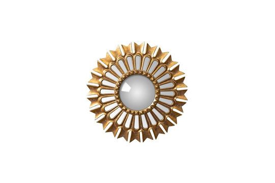 Doplo spiegel van harsgoud Productfoto