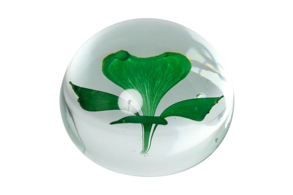 Deze klavertjevier in een glazen bol is het perfecte object voor een bloemdecoratie