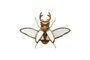 Miniatuur Gouden insectenbeeldje van hars Spiegels Productfoto