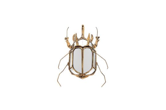 Gouden scarabee spiegel van hars Spiegels Productfoto