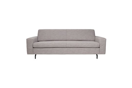 Jean Sofa 2,5-zits Grijs Productfoto