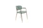 Miniatuur Jolien Fauteuil Goud en lichtgroen Productfoto