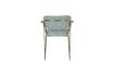 Miniatuur Jolien Fauteuil Goud en lichtgroen 11