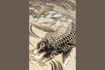 Miniatuur Koi grijs heat-set polypropyleen tapijt 160x230 2