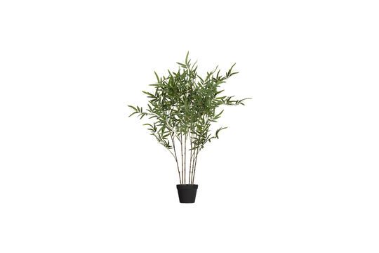 Kunstmatige groene plant Bambusa Productfoto