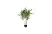 Miniatuur Kunstmatige groene plant Bambusa 1