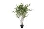 Miniatuur Kunstmatige groene plant Bambusa Productfoto