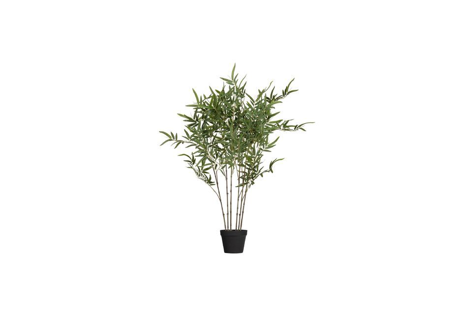 Kunstmatige groene plant Bambusa Woood