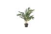 Miniatuur Kunstmatige groene plant Kwai 4