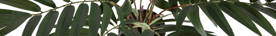 Benadrukte materialen Kunstmatige groene plant Kwai
