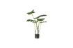 Miniatuur Kunstmatige groene plant Monstrera 3