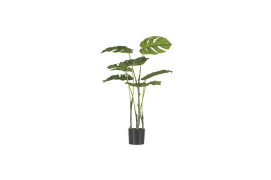 Kunstmatige groene plant Monstrera Productfoto