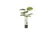 Miniatuur Kunstmatige groene plant Monstrera 1