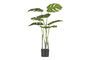 Miniatuur Kunstmatige groene plant Monstrera Productfoto