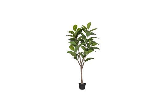Kunstmatige groene plant Rubberboom