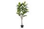 Miniatuur Kunstmatige groene plant Rubberboom Productfoto