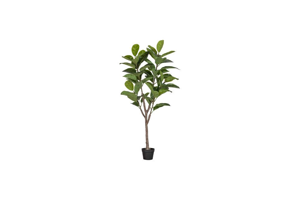 Kunstmatige groene plant Rubberboom Woood