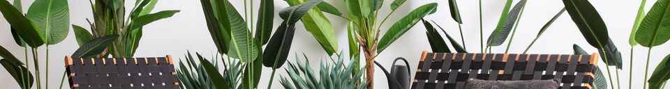 Benadrukte materialen Kunstmatige groene plant Strelitzia