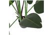 Miniatuur Kunstmatige groene plant Strelitzia 4