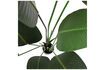 Miniatuur Kunstmatige groene plant Strelitzia 5