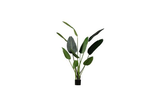 Kunstmatige groene plant Strelitzia Productfoto