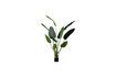 Miniatuur Kunstmatige groene plant Strelitzia 1