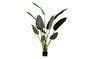 Miniatuur Kunstmatige groene plant Strelitzia Productfoto