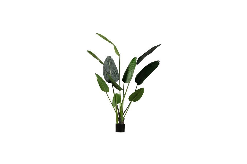 Kunstmatige groene plant Strelitzia Woood