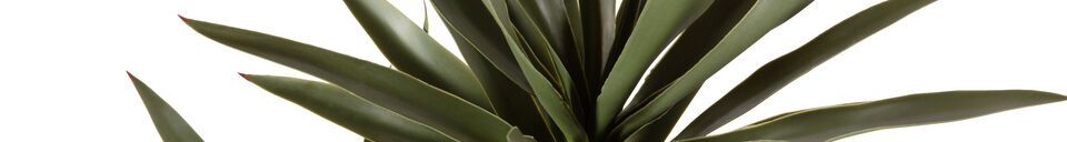 Benadrukte materialen Kunstmatige groene plant Yucca