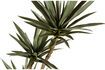 Miniatuur Kunstmatige groene plant Yucca 4