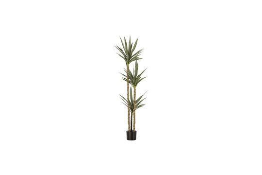 Kunstmatige groene plant Yucca Productfoto