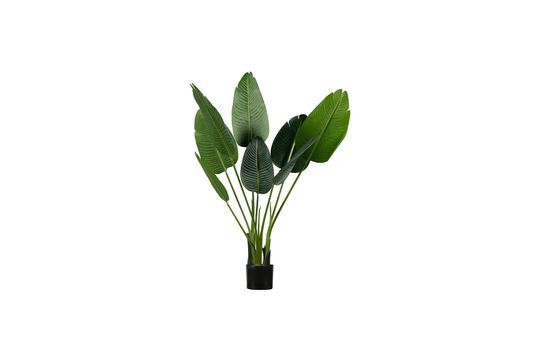 Kunstplant Strelitzia