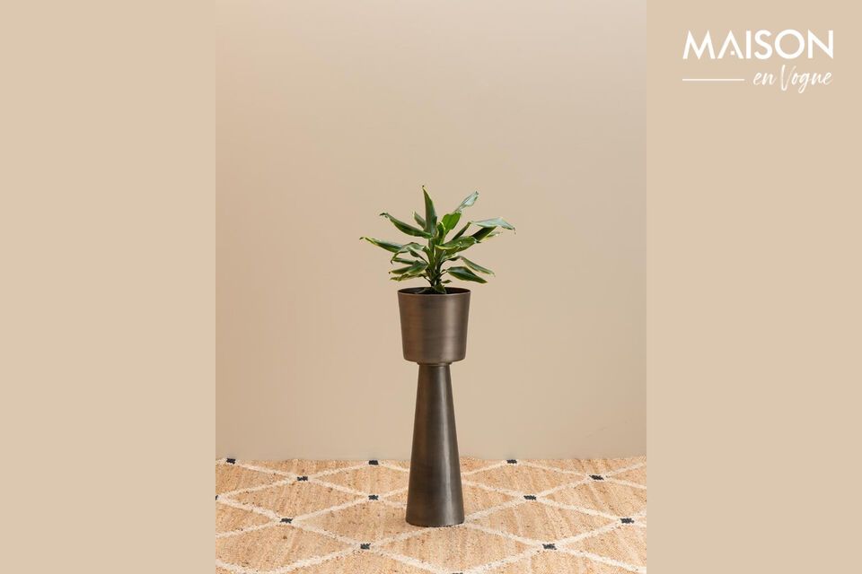 Met een hoogte van 84 cm bieden deze stukken genoeg ruimte voor een verscheidenheid aan planten