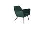 Miniatuur Lounge fauteuil Bon in groen fluweel Productfoto