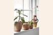 Miniatuur Perzikachtige aardewerken plantenbak 2