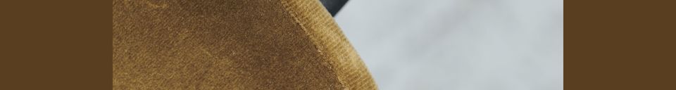 Benadrukte materialen Polyester fluwelen stoel Lao