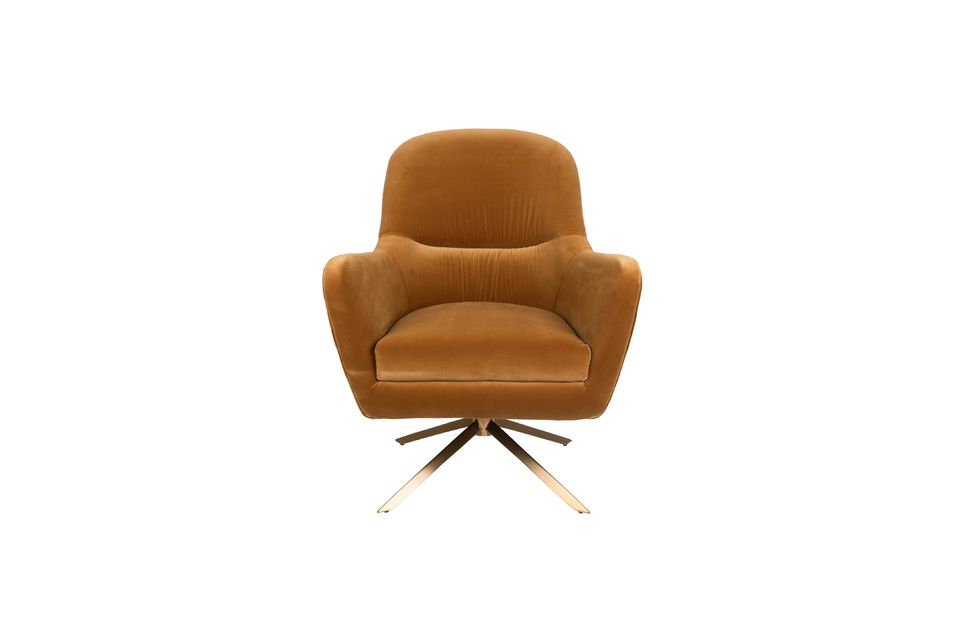 Robuuste Fauteuil Whisky - 10
