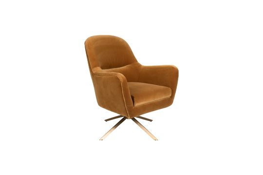 Robuuste Fauteuil Whisky Productfoto