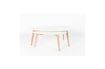 Miniatuur Set van 2 Drop Side Tables 9