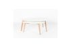 Miniatuur Set van 2 Drop Side Tables 9