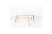 Miniatuur Set van 2 Drop Side Tables 10