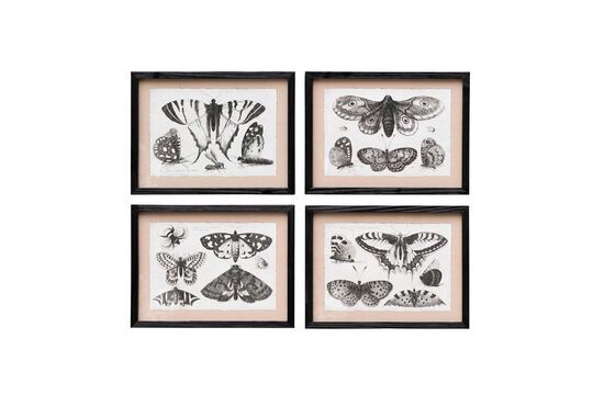 Set van 4 zwarte houten lijsten Vlinders Productfoto