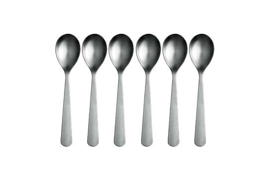Set van 6 zilveren roestvrijstalen lepels Luxis Productfoto